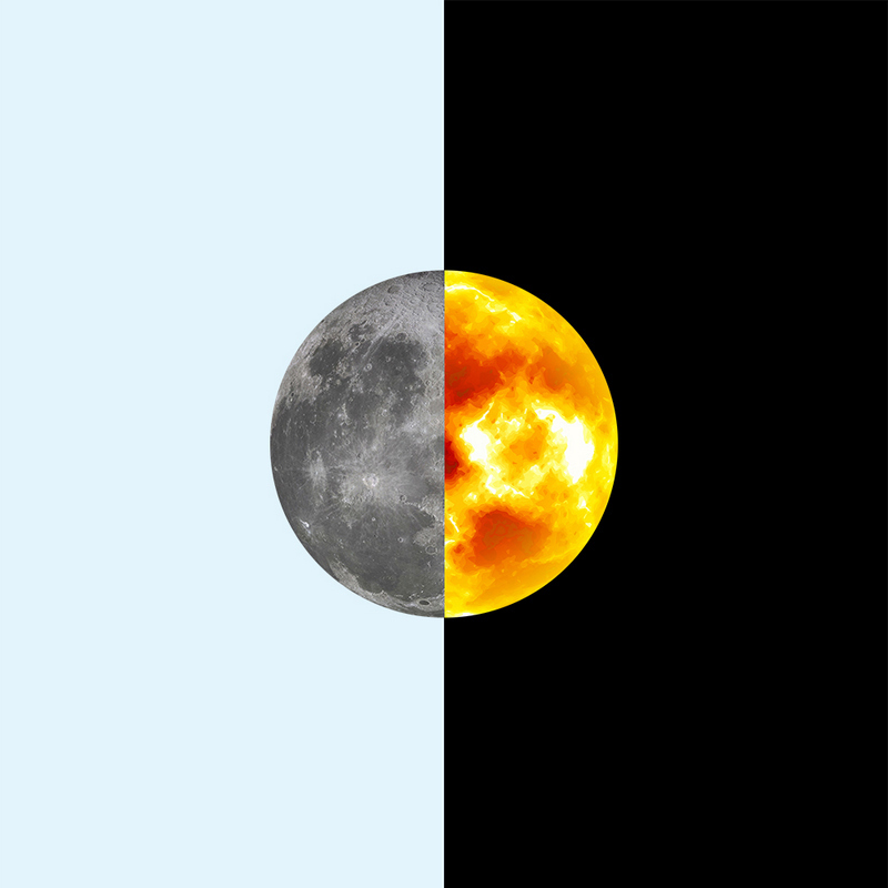 Dark Pale Album Cover